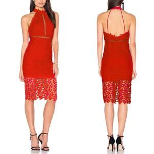 Bardot Gemma Floral Lace Halter Bodycon Midi Dress Sz 6 / Small